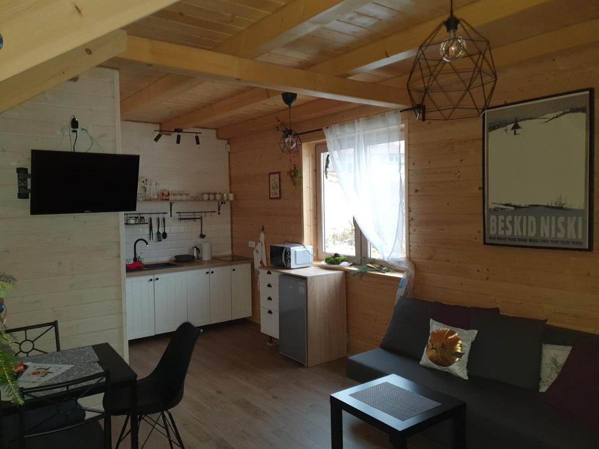 Domki Widokówka Wysowa-Zdrój Exterior foto